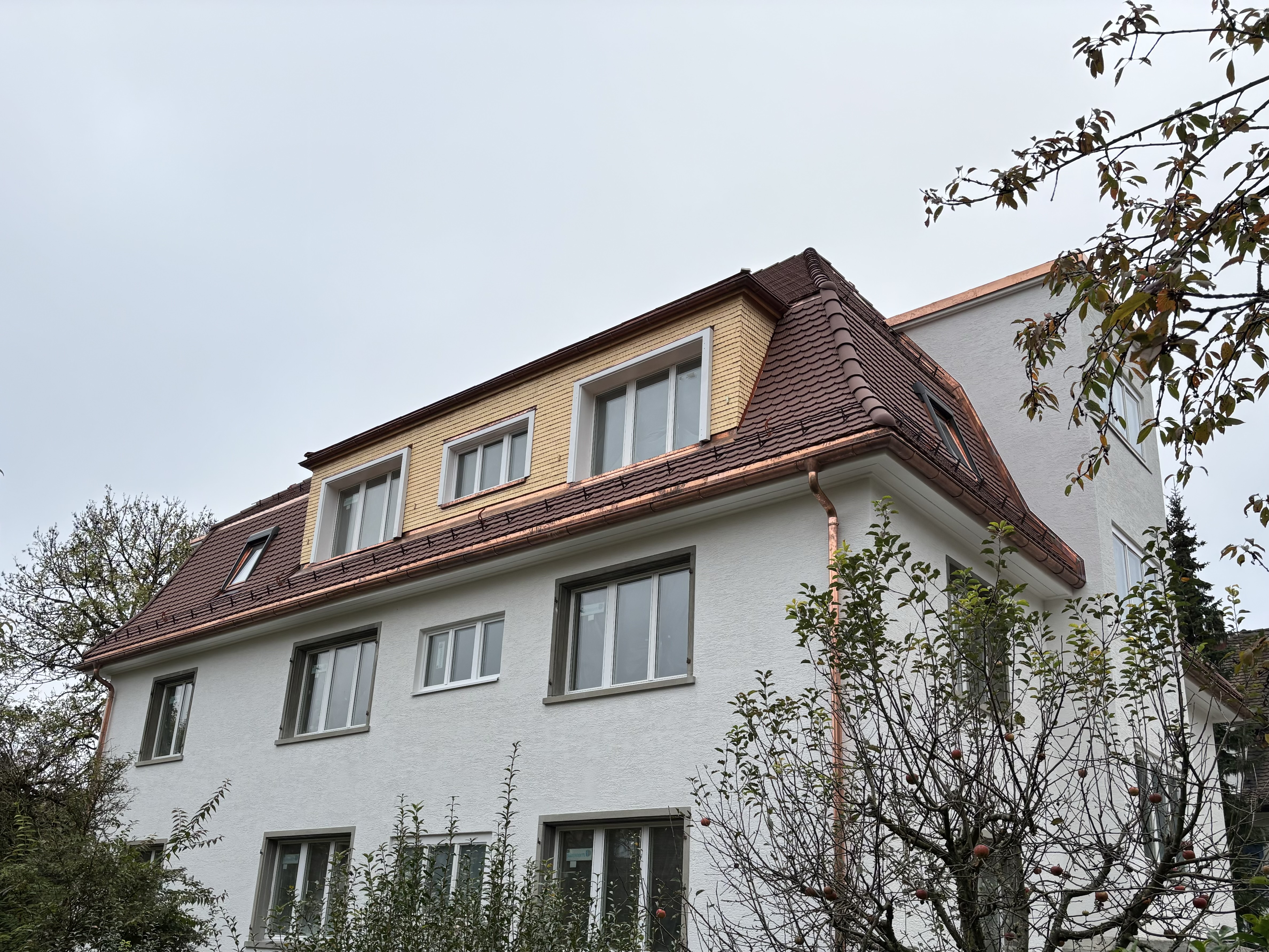 Frischer Auftritt unter neuer Hülle